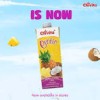 Chivita- Exotic