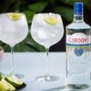 Gordon's Dry Gin Moringa Citrus Belend