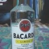 Bacardi